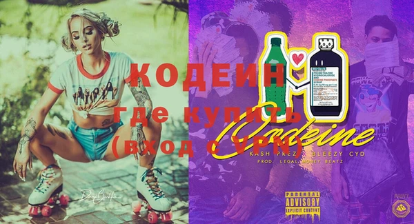 2c-b Пестово