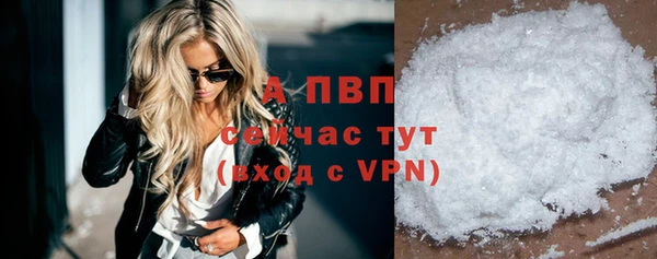 твердый Абаза