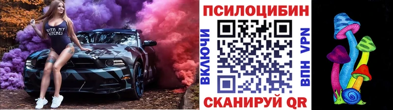 Галлюциногенные грибы Cubensis  купить   мега как войти  Воронеж 